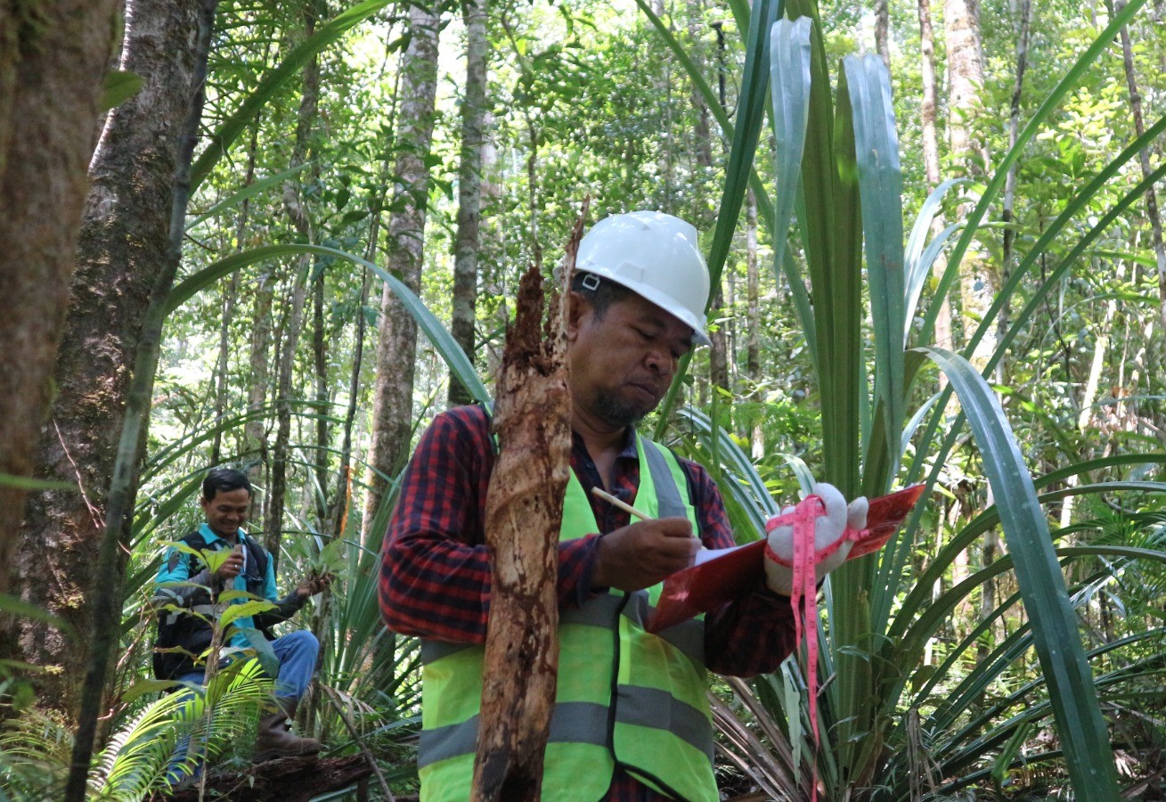 pendataan ragam jenis tumbuhan